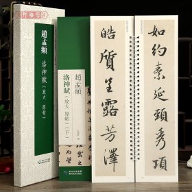 学海轩共2本赵孟頫洛神赋放大原帖近距离临摹练字卡原色原帖繁体旁注赵体行书字卡毛笔书法字帖成人学生临摹范本