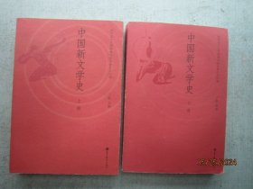 中国新文学史上下册  书重1400克  A7946