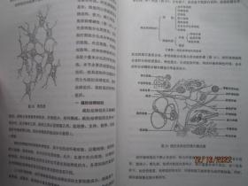 浮针疗法 【中华特色疗法系列培训教材】 A8121