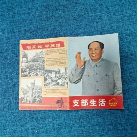 支部生活 革命样板戏画刊