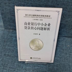 银行业金融机构培训系列教材：商业银行中小企业贷款核心问题解析