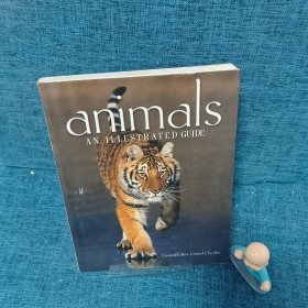 Animals： An Illustrated Guide