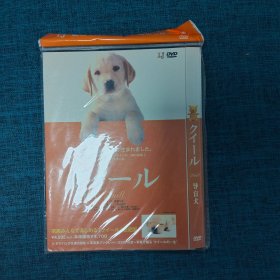 DVD   导盲犬