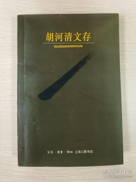 胡河清文存