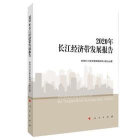 2020年长江经济带发展报告