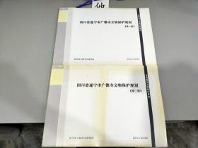 四川省遂宁市广德寺文物保护规划1-2册