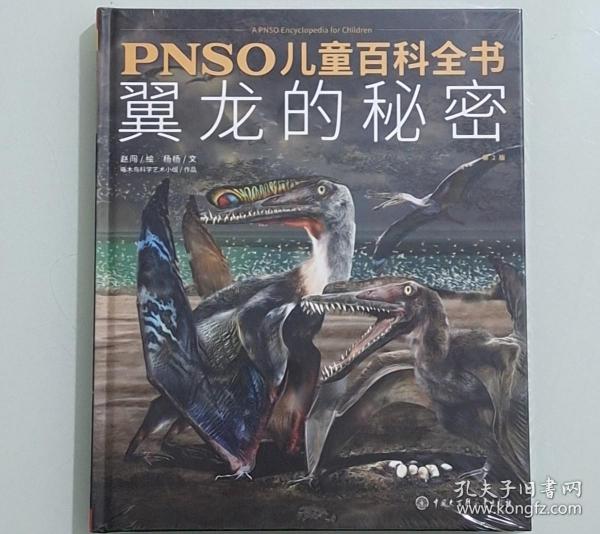 PNSO儿童百科全书 翼龙的秘密