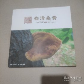 临清桑黄