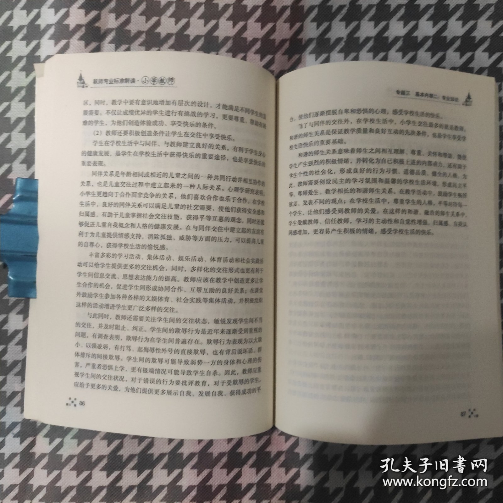 桃李书系：教师专业标准解读（小学教师）