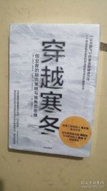 穿越寒冬:《让大象飞》作者的全新破冰力作