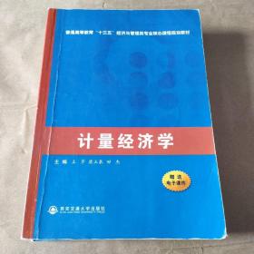 计量经济学（普通高等教育“十三五”经济与管理类专业核心课程规划教材）