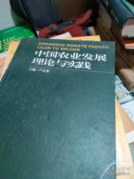 中国农业发展理论与实践