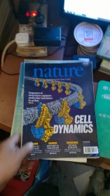 Nature 自然杂志 vol 571.no7766