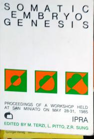 somatic embryo genesis