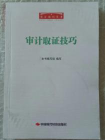 审计取证技巧 审计技巧丛书