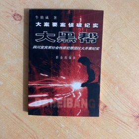 大黑帮——21世纪大案要案侦破纪实系列