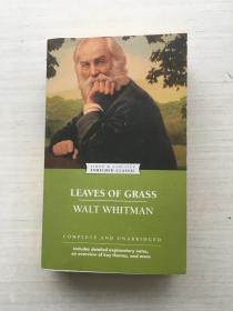 LEAVES OF GRASS