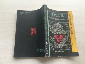 清代文化:传统的总结和中西大交流的发展