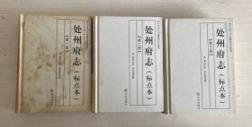 处州府志（标点本）全三册（精装）【书皮书口有污迹水迹】