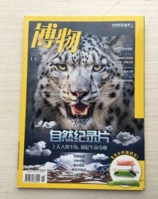 博物 2022 11