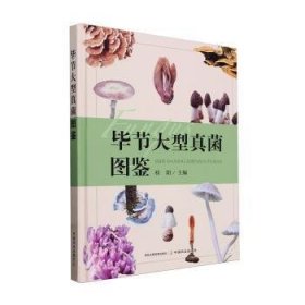 全新正版图书 毕节大型真菌图鉴桂阳中国农业出版社9787109315532