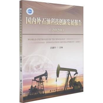 国内外石油科技创新发展报告(2020)