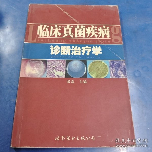 临床真菌病诊断治疗学