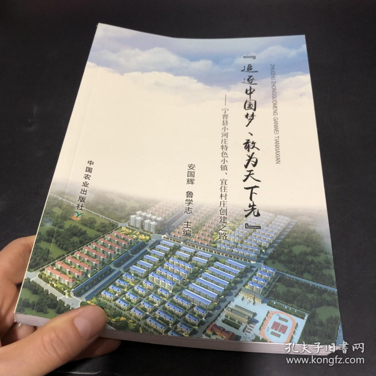 “追逐中国梦、敢为天下先”：宁晋县小河庄特色小镇、宜住村庄创建之路