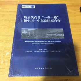 斯洛伐克看“一带一路”和中国—中东欧国家合作