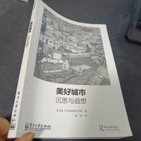 美好城市：沉思与遐想