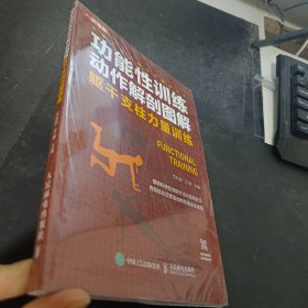 功能性训练动作解剖图解 躯干支柱力量训练