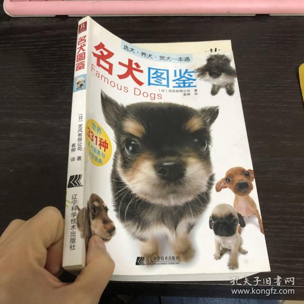 名犬图鉴：世界331种名犬驯养与鉴赏图典