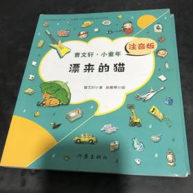 漂来的猫（曹文轩.小童年）