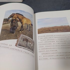 野马家园：野放野马观察日记