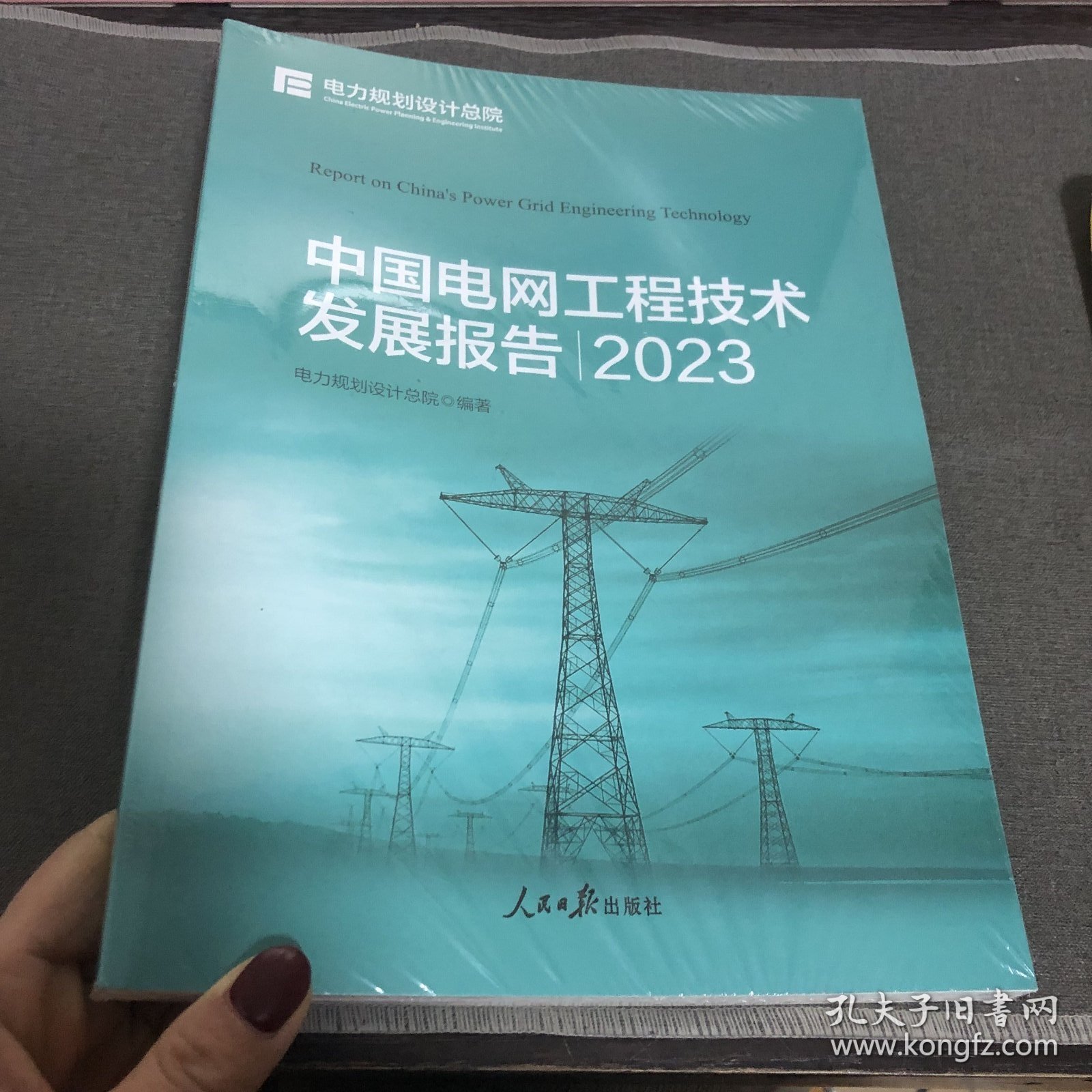 中国电网工程技术发展报告:2023