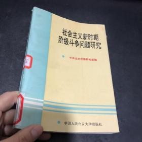 社会主义新时期阶级斗争问题研究