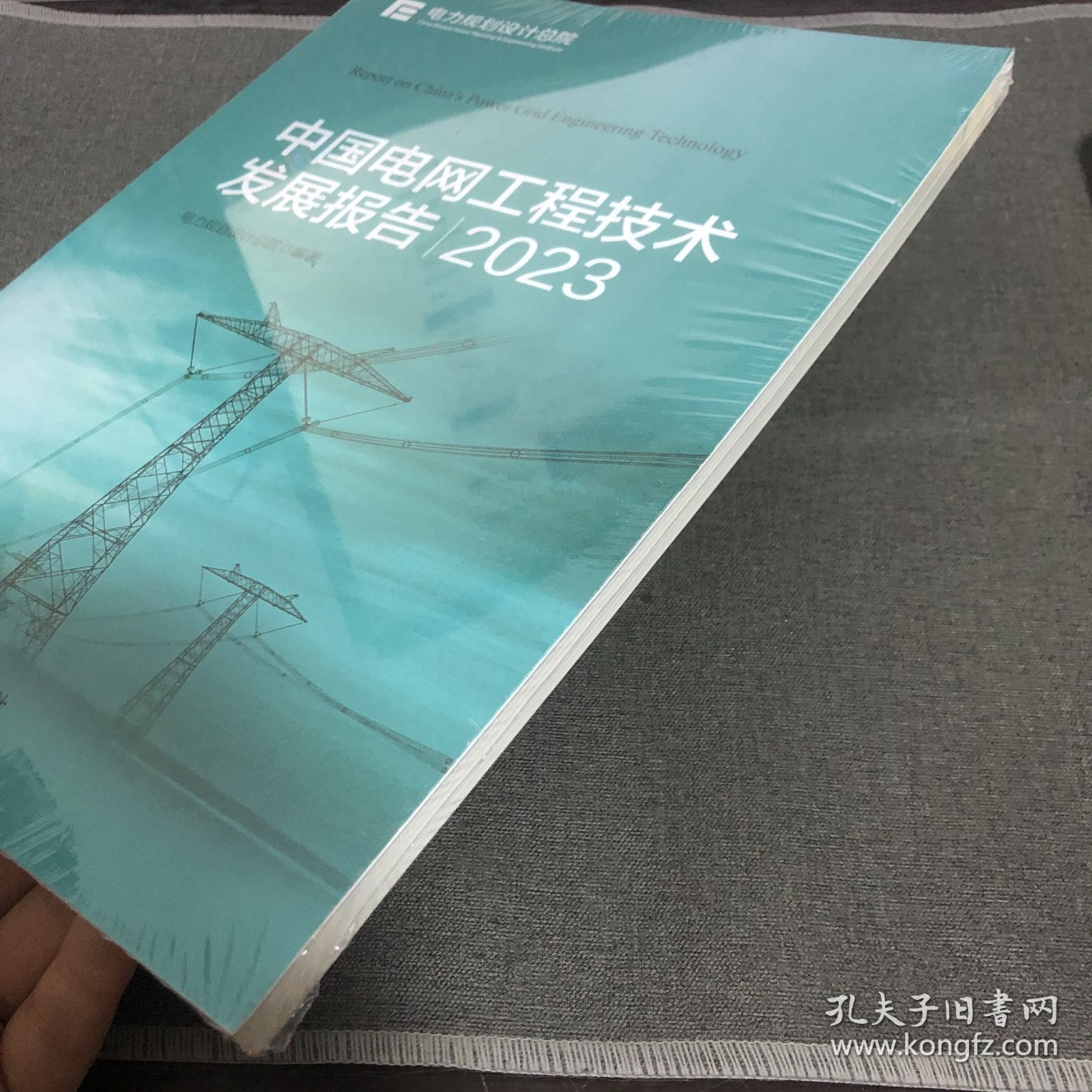 中国电网工程技术发展报告:2023