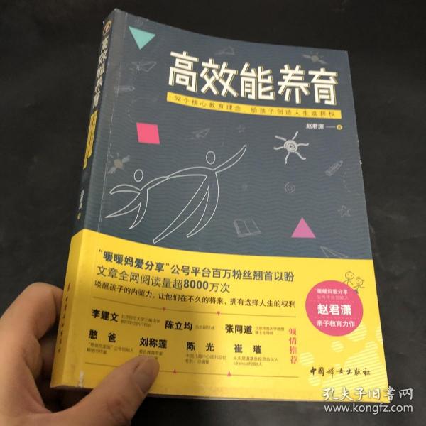 高效能养育（百万粉丝公号“暖暖妈爱分享”创始人赵君潇全新家教作品）