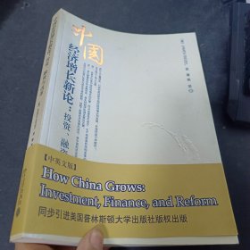 中国经济增长新论：投资、融资与改革