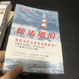 惊涛飓浪（一个关于爱、失去及汪洋求生的真实故事。生命中zui难的，不是拯救世界，而是拯救自己）