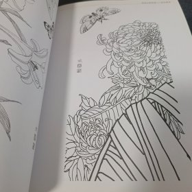 花鸟鱼虫白描画谱