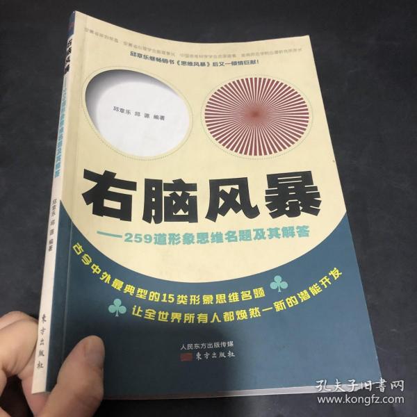 右脑风暴：259道形象思维名题及其解答