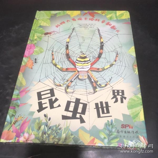 动物大发现手绘科普翻翻书：昆虫世界（欧洲生物学家联手知名插画家手绘科普，唯美淡水彩展示缤纷昆虫界！）