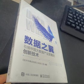 数据之翼:引领中国大数据产业发展的创新技术