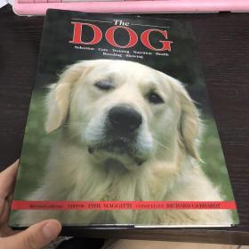 The DOG