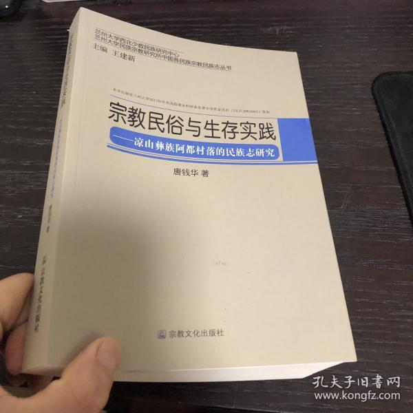 兰州大学民族宗教研究所中国民族家教民族志丛书·宗教民俗与生存实践：凉山彝族阿都村落的民族志研究