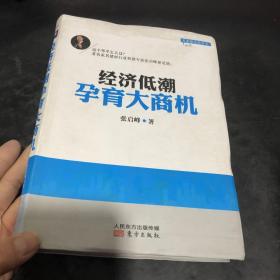 名家如是说寒冬丛书：经济低潮孕育大商机