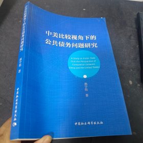 中美比较视角下的公共债务问题研究