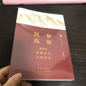 筑梦高原——新时代援藏扶贫实践探索