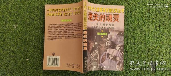 迷失的魂灵--湖北荆沙特大抢劫团伙案侦破纪实